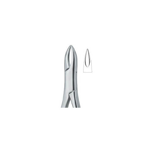 Henahan Incisors 1A 